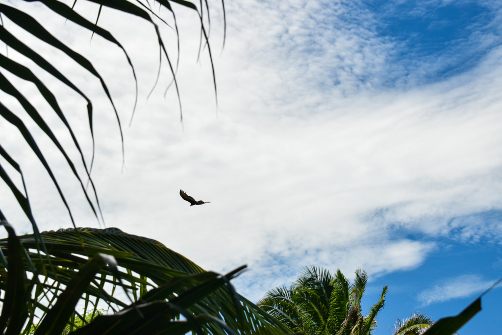En la lluvia una sonrisa